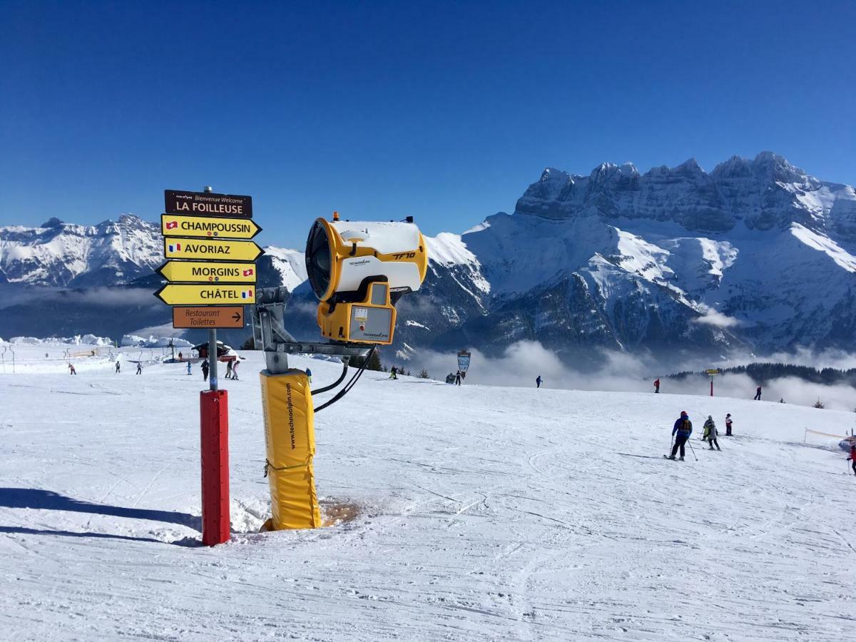 Chalet Marmotte 2 モルジヌ エクステリア 写真