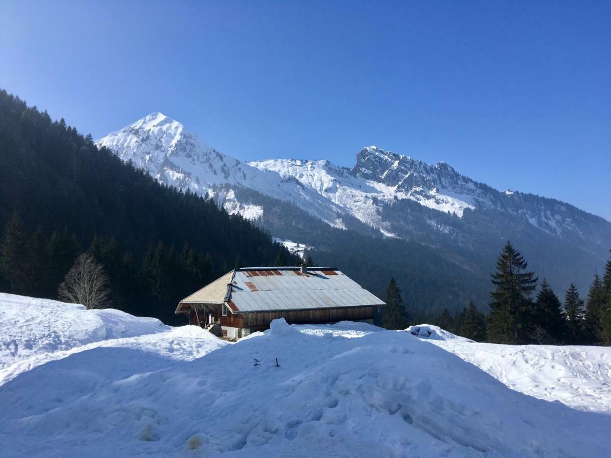 Chalet Marmotte 2 モルジヌ エクステリア 写真
