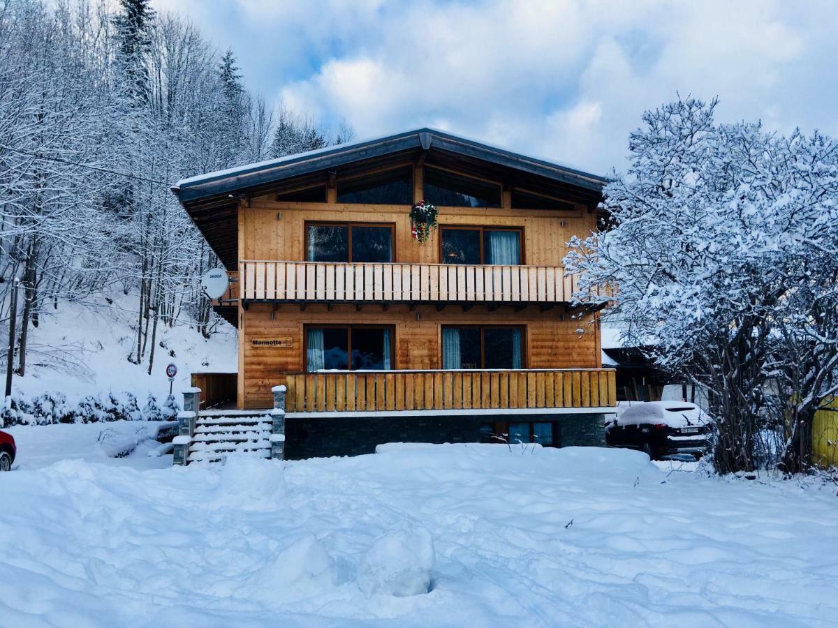 Chalet Marmotte 2 モルジヌ エクステリア 写真