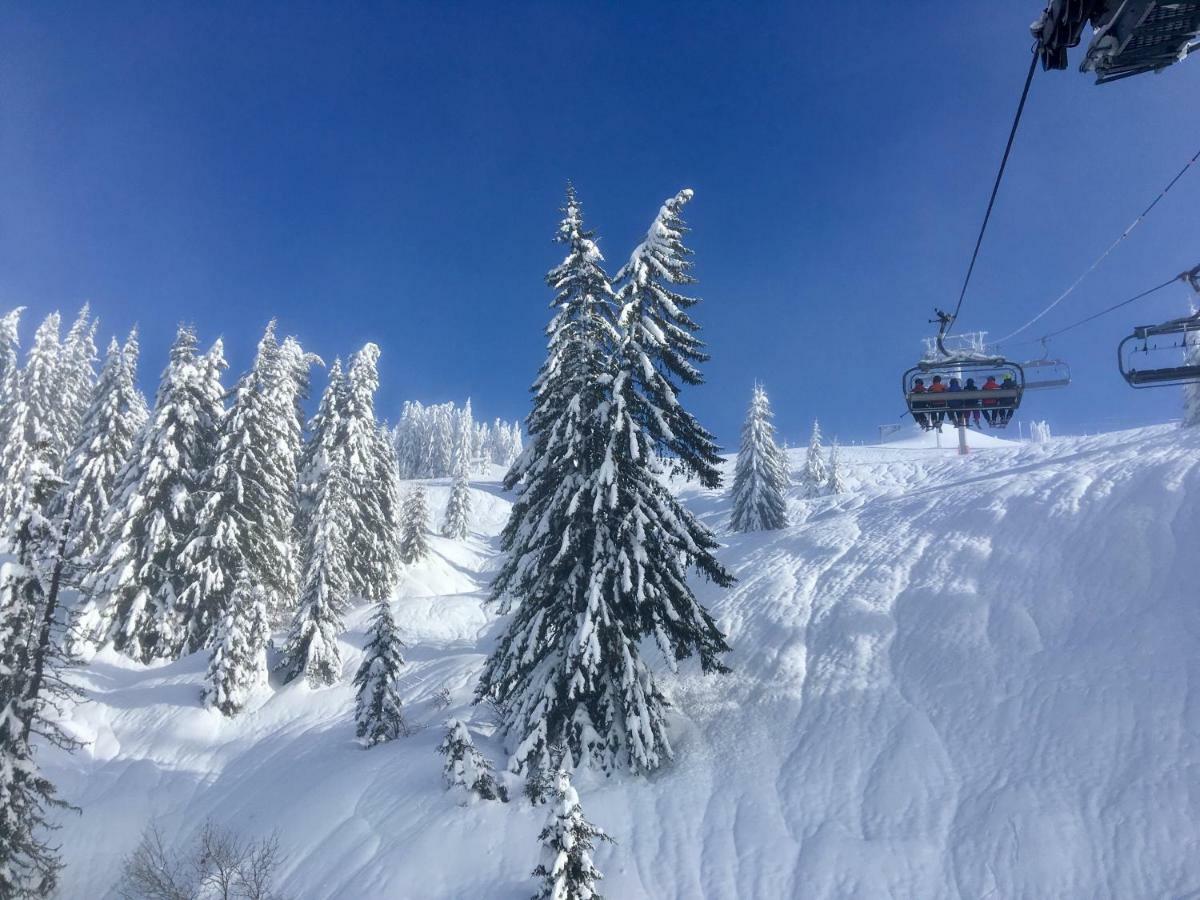 Chalet Marmotte 2 モルジヌ エクステリア 写真