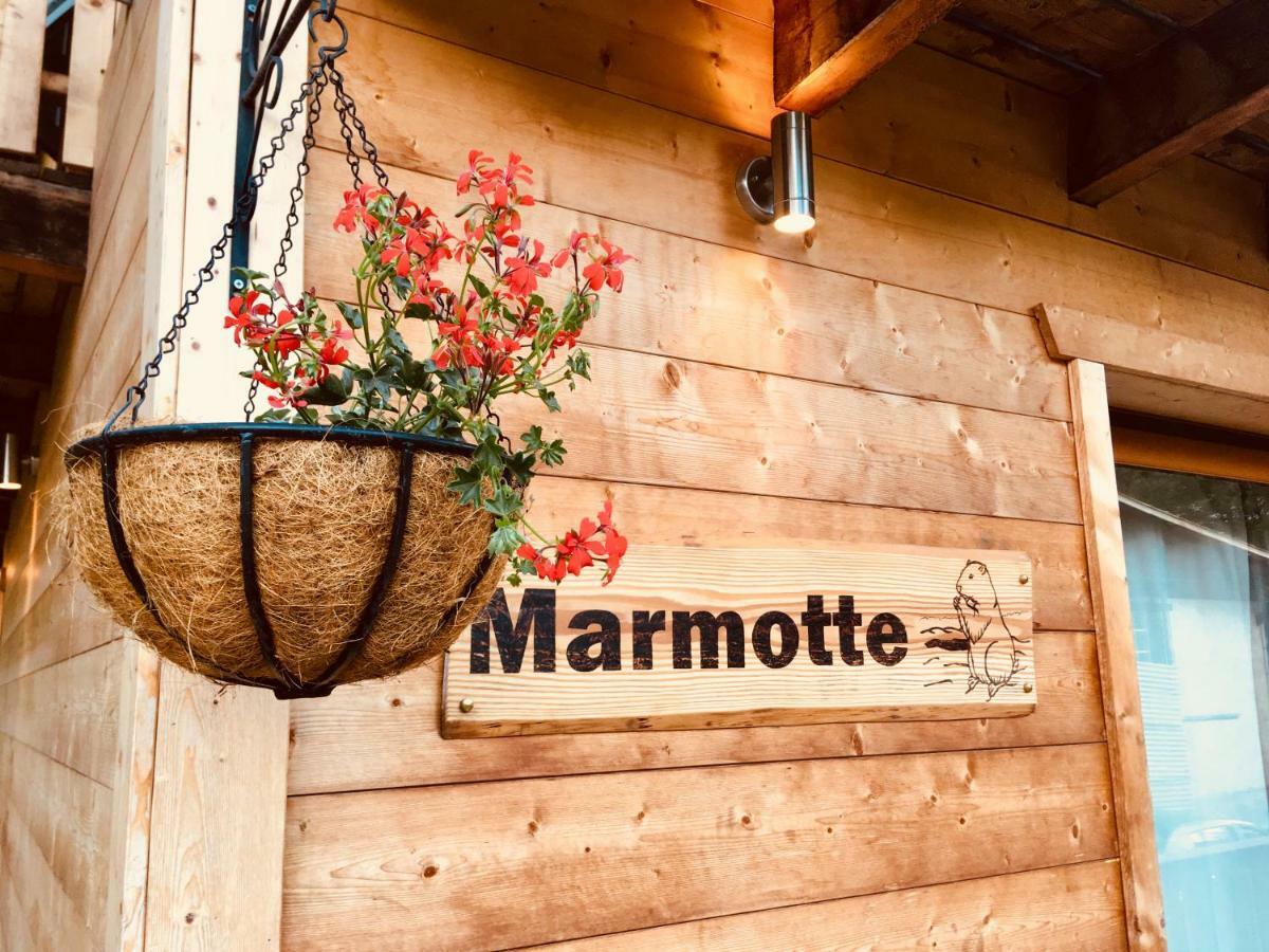 Chalet Marmotte 2 モルジヌ エクステリア 写真